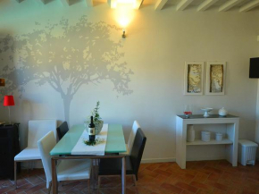 Cosy apartment with swimming pool and garden close to Volterra and S Gimignano